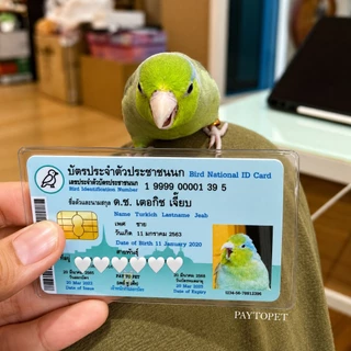 บัตรประชาชนสัตว์เลี้ยง 🐱 บัตรแข็ง PVC (ทักร้านค้าก่อนกดสั่งซื้อ) Pet ID Card
