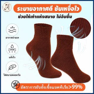ถุงเท้านักเรียน สีน้ำตาล ถุงเท้าสีพื้น ผ้าฝ้ายนุ่ม ระบายอากาศดี ลดกลิ่นอับ 6/12/24 คู่ ใส่สบาย