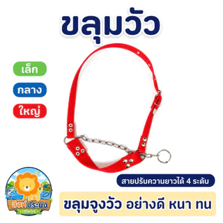 ขลุมวัว ขลุมจูงวัว เหม่าวัว อย่างหนา สแตนเลสอย่างดี เชือกสนตะพาย เม่า สายจูง ปรับความยาวได้