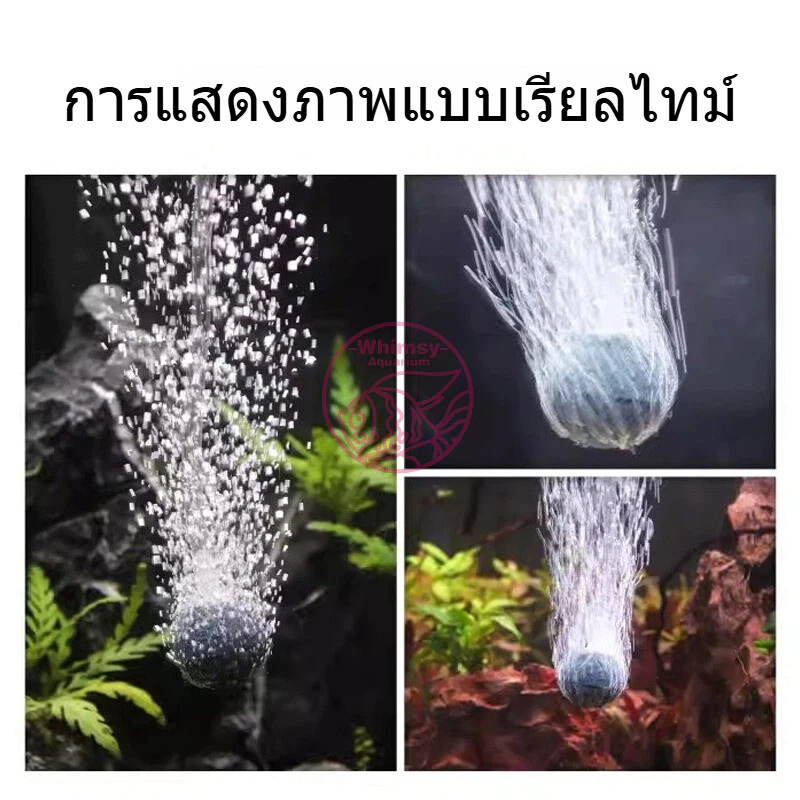 หัวทรายเพิ่มออกซิเจนสำหรับตู้ปลา ตู้กุ้ง สัตว์น้ำทุกชนิด ฟองแรง ออกทุกรู ฟองไม่ใหญ่เกินไป ปลาไม่ตกใจ thumbnail 3