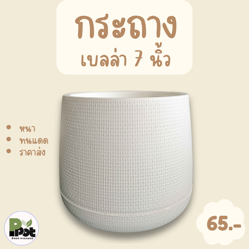 กระถางต้นไม้ รุ่นเบลล่า 7 นิ้ว ดีไซน์โมเดิร์น มีหลายสีให้เลือก สีขาว ดำ เทา เขียว