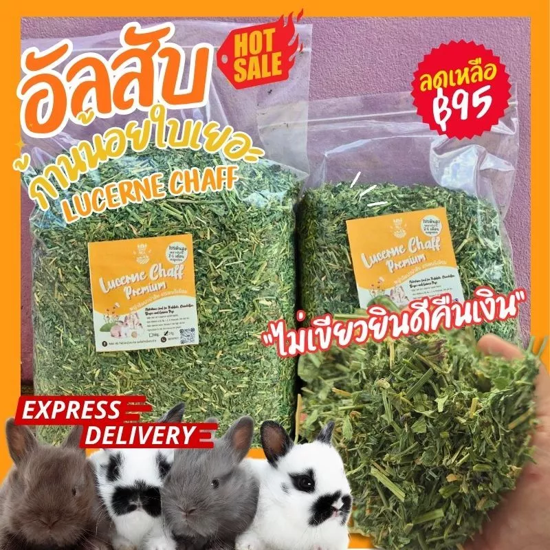 RabbitHill หญ้าอัลฟาฟ่าสับ🔥เกรดพรีเมียมจากออสเตรเลียเขียวใบเยอะหญ้ากระต่ายและแกสบี้