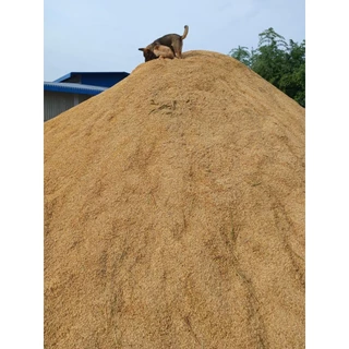ข้าวเปลือกจ้าวไก่ชน10กก.เป่าฝุ่นคัดเมล็ด