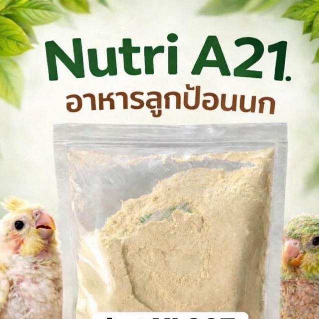 Nutribird A21 อาหารลูกป้อนนกแก้ว
