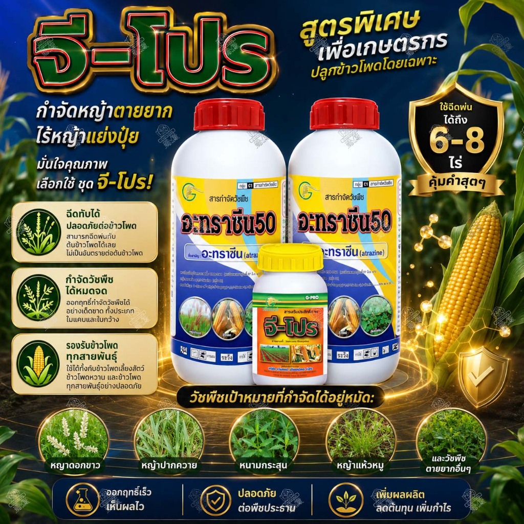 จีโปร (ใช้ได้ 6-8 ไร่) กำจัดวัชพืชในไร่ข้าวโพด ใช้เหมือน คลีโอโปร จี-โปร สามารถฉีดทับข้าวโพดได้เลย