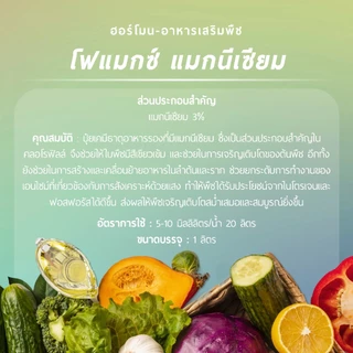 โฟแมกซ์ แมกนีเซียม 300 *สูตรน้ำข้น ฉลากสีเขียว* (แมกนีเซียม 3%) 1 ลิตร