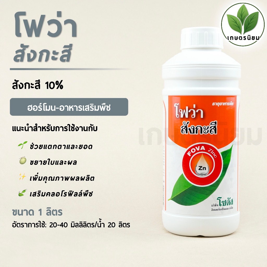 โฟว่า สังกะสี (สังกะสี 10%) 1 ลิตร