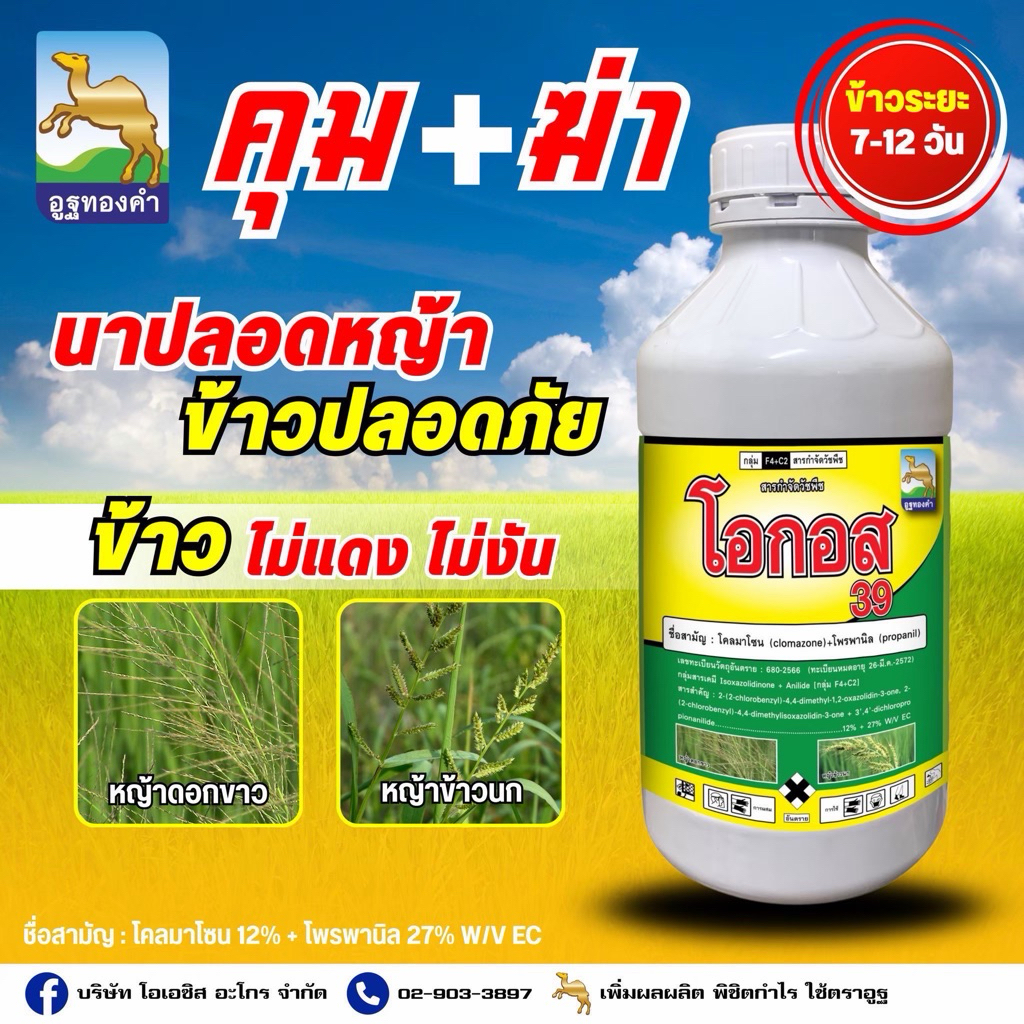 โอกอส 1 ลิตร(โคลมาโซล+โพรพานิล)คุม-ฆ่า หญ้านาข้าว ข้าวไม่แดง ข้าวอายุ 7-15 วัน คุมนาน คุมดี กำจัดได้ทุกหญ้า
