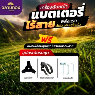 DGF-DC901 เครื่องตัดหญ้า Dragonfly ตัดไว งานเสร็จเร็ว (ไม่มีเเบต)
