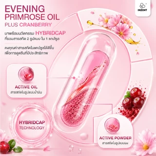 [ซื้อ1แถม1] INZENT Evening primrose oil plus Cranberry extract ผลิตภัณฑ์เสริมอาหาร น้ำมันอีฟนิ่งพริมโรส พลัส