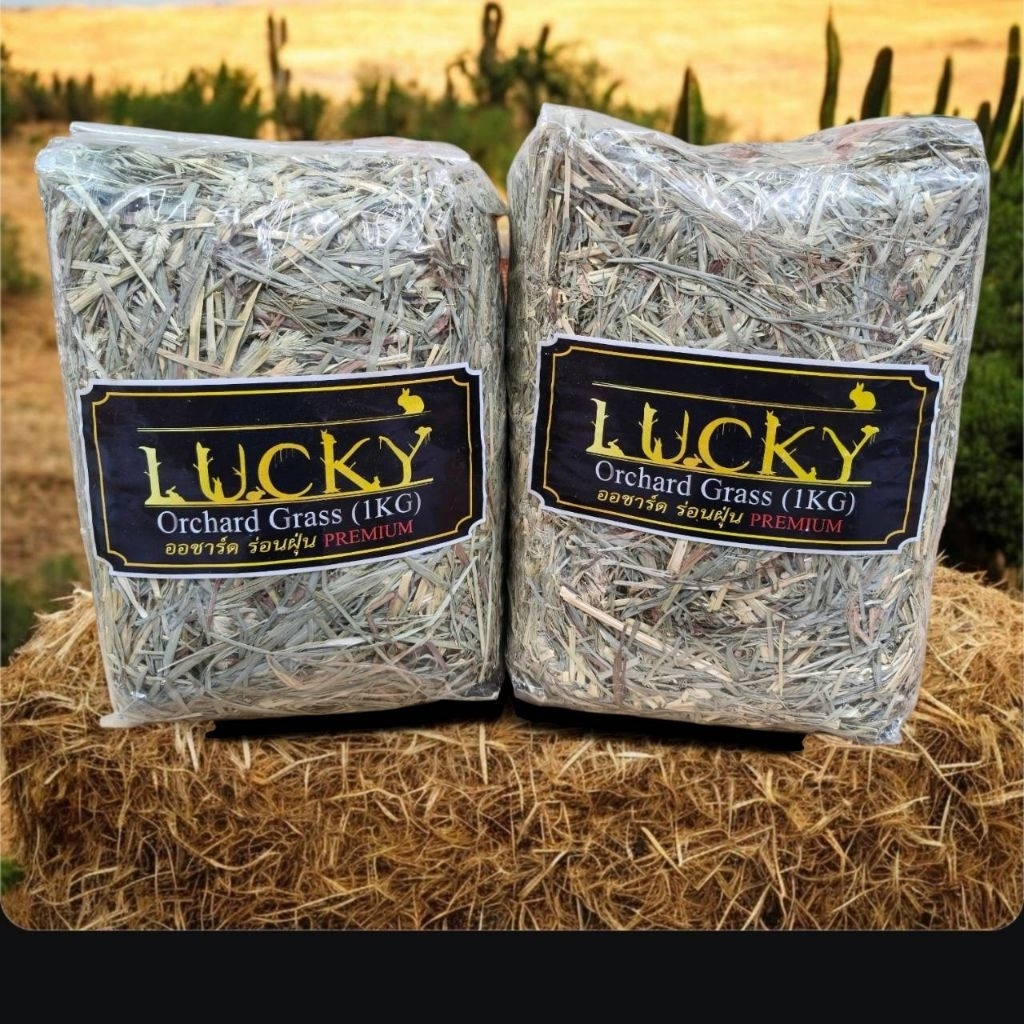 Lucky Timothy Hay&Orchard Grass 1kg.  หญ้าทิมโมธี่ เกรดพรีเมี่ยม อาหารเสริมโปรตีนสัตว์เลี้ยง สัตว์ฟั
