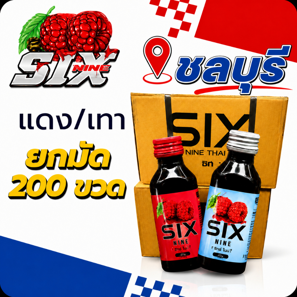200 ขวด six nine ไซรัป SIX-NINE น้ำหวานเข้มข้น กลิ่นหอมหวานแท้ มี2สูตร ฝาเทาและฝาแดง