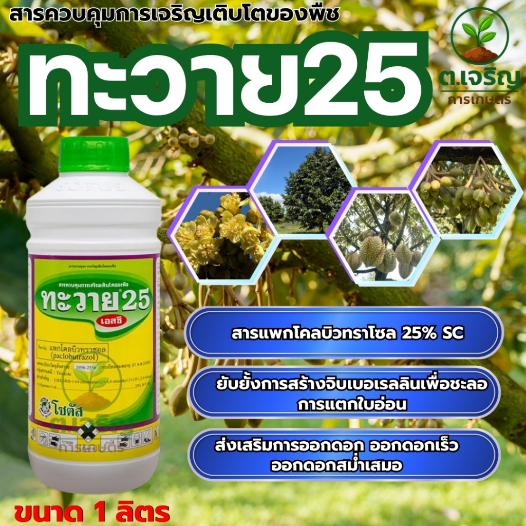 ทะวาย 25%โซตัส ขนาด 1 ลิตร สารแพกโคลบิวทราโซล25%SC สารทำดอก นอกฤดู สารทุเรียน สารมะม่วง ทุเรียนทำสาร นอกฤดู