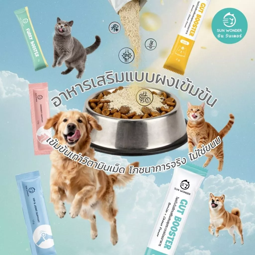 (1 กล่อง/12 ซอง) SUN WONDER FURRY BOOSTER อาหารเสริมบำรุงขนและผิวหนังสำหรับสัตว์เลี้ยง thumbnail 8