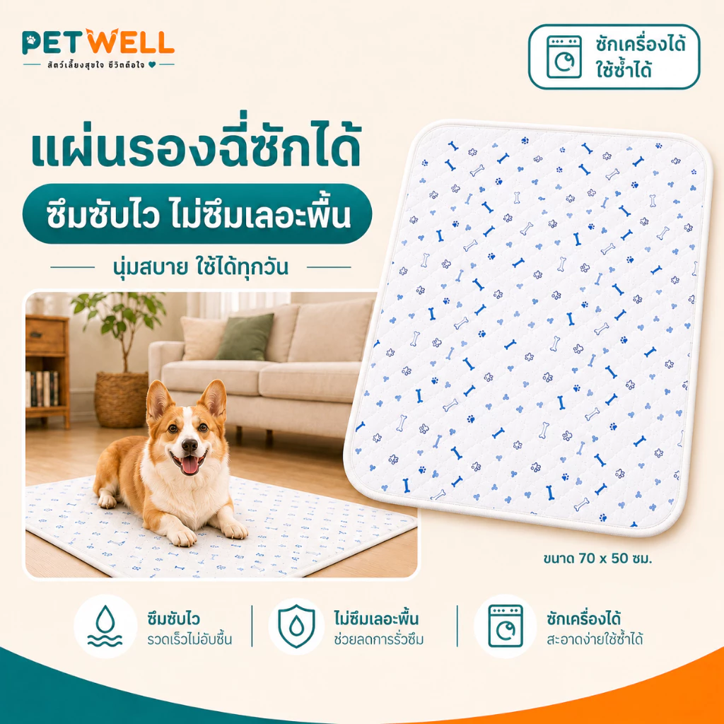 แผ่นรองฉี่สำหรับสัตว์เลี้ยง PETWELL สามารถนำกลับมาใช้ใหม่ ซักได้ กันลื่น ระบายอากาศได้ดี และเหมาะสำหรับการฝึกฉี่ลูกสุนัข