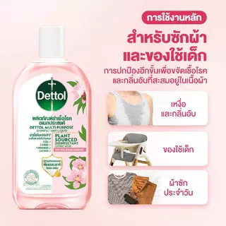 Dettol เดทตอล น้ำยาฆ่าเชื้อเดทตอล น้ำยาฆ่าเชื้อโรค สูตรใหม่ สูตรทำจากธรรมชาติ กลิ่นบลอสซัม แอนด์ เกรปฟรุต 1,000มล.X1