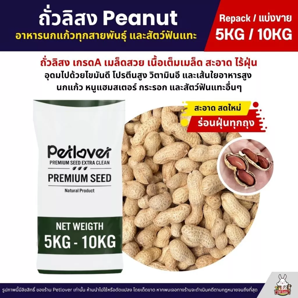 (5KG/10KG) ถั่วลิสง Peanut เกรดA นำเข้า อาหารนกแก้ว หนูแฮมสเตอร์ และสัตว์ฟันแทะ