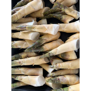 หน่อไม้บงหวานเพรชน้ำผึ้ง(ส่งใน1-2วัน)กินสดได้ ไม่มีไซยาไนด์ ไม่มียูริก เป็นเกาต์ทานได้ หวานกรอบจากธรรมชาติไม่ใช้ปุ๋ยเคมี