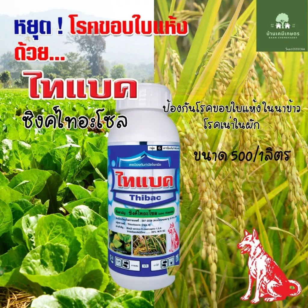 ไทแบค ซิงค์ไทอะโซล สารป้องกันและกำจัดโรคแบคทีเรีย ขนาด 1ลิตร/500ml