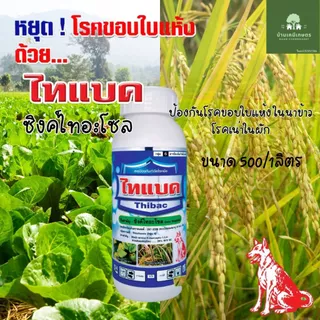 ไทแบค ซิงค์ไทอะโซล สารป้องกันและกำจัดโรคแบคทีเรีย ขนาด 1ลิตร/500ml