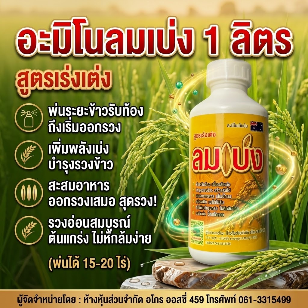 ฮอร์โมนอะมิโนลมเบ่ง พ่นข้าวระยะรับท้อง-กลัดหางปลาทู บรรจุ 1 ลิตร 1 ขวด 15-20 ไร่