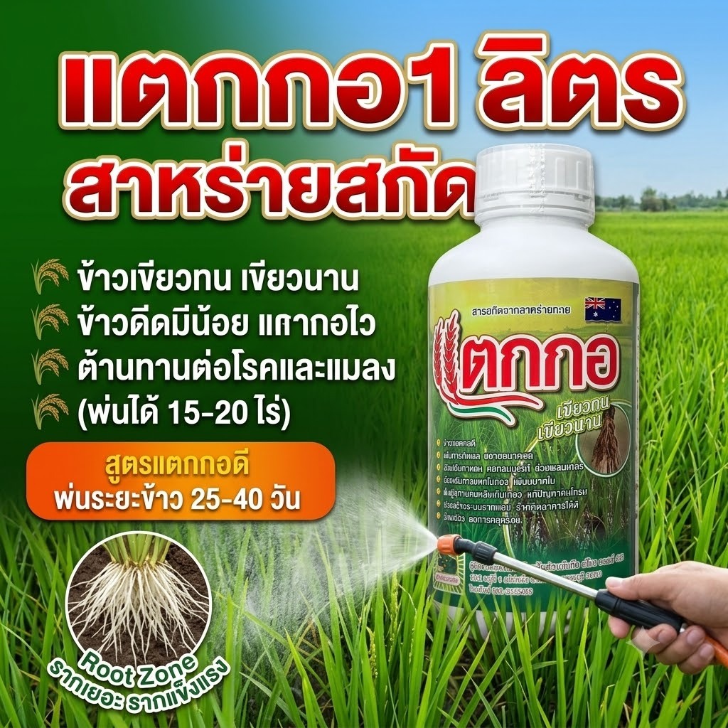 ฮอร์โมนสำหรับนาข้าวแตกกอ บรรจุ 1 ลิตร สาหร่ายสกัดเข้มข้น ช่วยให้ข้าวเขียวทนเขียวนาน ข้าวหาอาหารเก่ง รากเดินดี