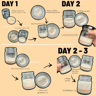 Dry yeast หัวเชื้อยีตส์จากธรรมชาติ ยีตส์แห้งสำหรับนำไปทำขนมปัง Sourdough 🥖