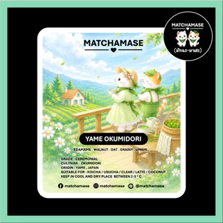ถั่วครีมมี่-หอมหวาน YAME OKUMIDORI MATCHA - MATCHAMASE (มัทฉะมาเสะ)