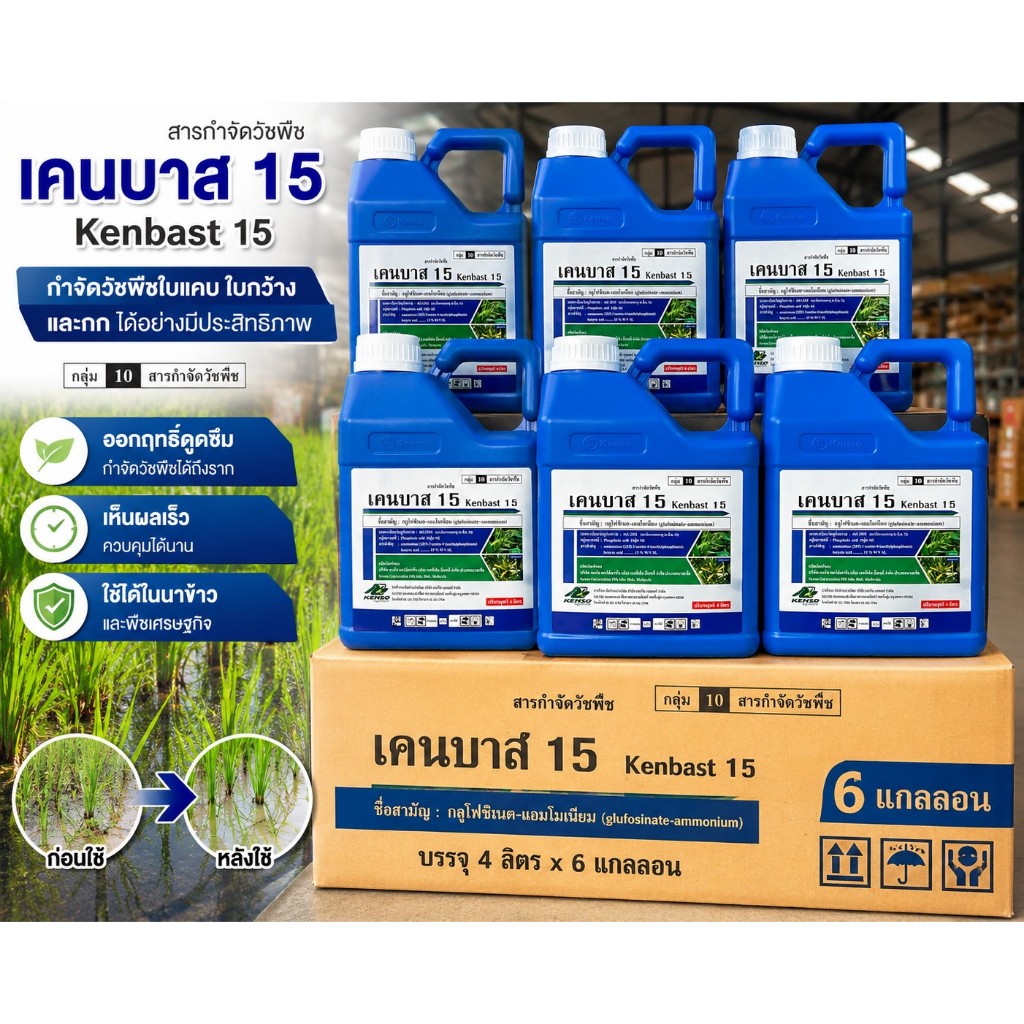 เคนบาส ยกลัง 6 แกลลอน ขนาด 4 ลิตร  กลูโฟซิเนต-แอมโมเนียม 15% W/V SL ตราเคนโซ ของแท้