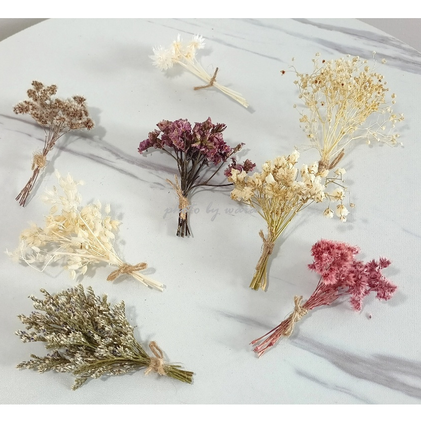 ดอกไม้แห้ง ดอกไม้จิ๋ว 8 cm. ช่อเล็ก ดอกไม้จริง เล็กๆ เก็บได้นาน Real Flower