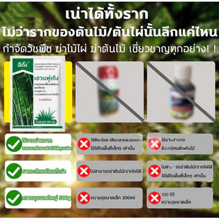 【ซื้อ 3 แถม 1】💥100% รากไม้เน่า ยาฆ่าต้นไม้ใหญ สารกำจัดกอไผ่ ยาฆ่าตอไม้ ตรงไปที่ราก สร้างมาเพื่อฤดูฝน กำจัดวัชพืชรากเน่า
