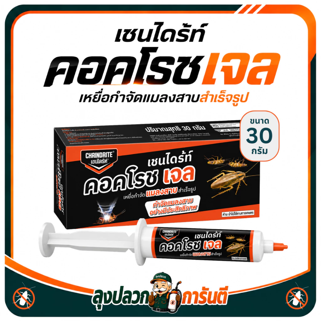 (ของแท้ มี อย.) เชนไดร้ท์ คอคโรช เจล 30 G. | เหยื่อกำจัดแมลงสาบถึงรัง ใช้งานง่าย เห็นผลต่อเนื่อง
