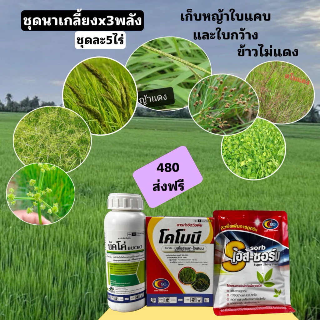 ชุดเก็บหญ้า🌿นาเกลี้ยงx3พลัง สำหรับข้าว25วันขึ้นไป 1ชุด/5ไร่