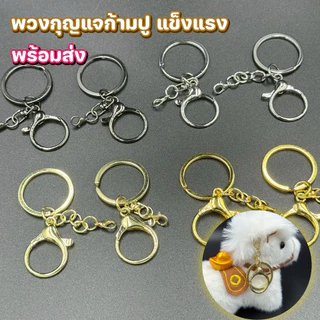 ตะขอก้ามปูกลม พร้อมห่วงโซ่ พวงกุญแจโลหะ (สีทอง) อะไหล่พวงกุญแจ ไม่เป็นสนิม เกี่ยวแน่น ห้อยตุ๊กตา DIY