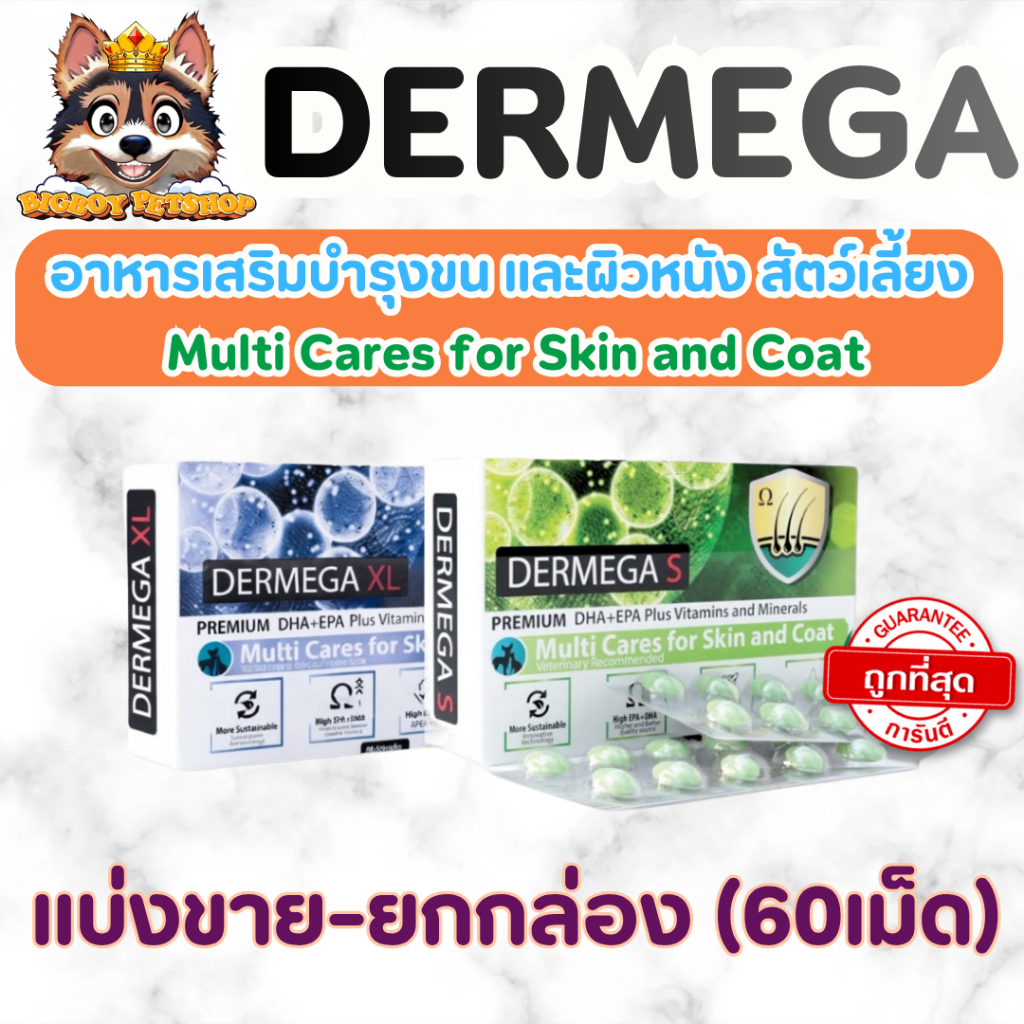 Dermega วิตามินบำรุงผิวหนังและขน สำหรับสุนัขและแมว Dermega ลดอาการคันและผื่นแพ้ ฟื้นฟูผิวหนังอักเสบ
