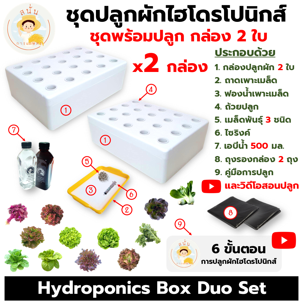 ชุดปลูกผักไฮโดรโปนิกส์ ครบชุด กล่องโฟมปลูกผัก 2 ใบ เมล็ด 3 ชนิด และคู่มือการปลูก