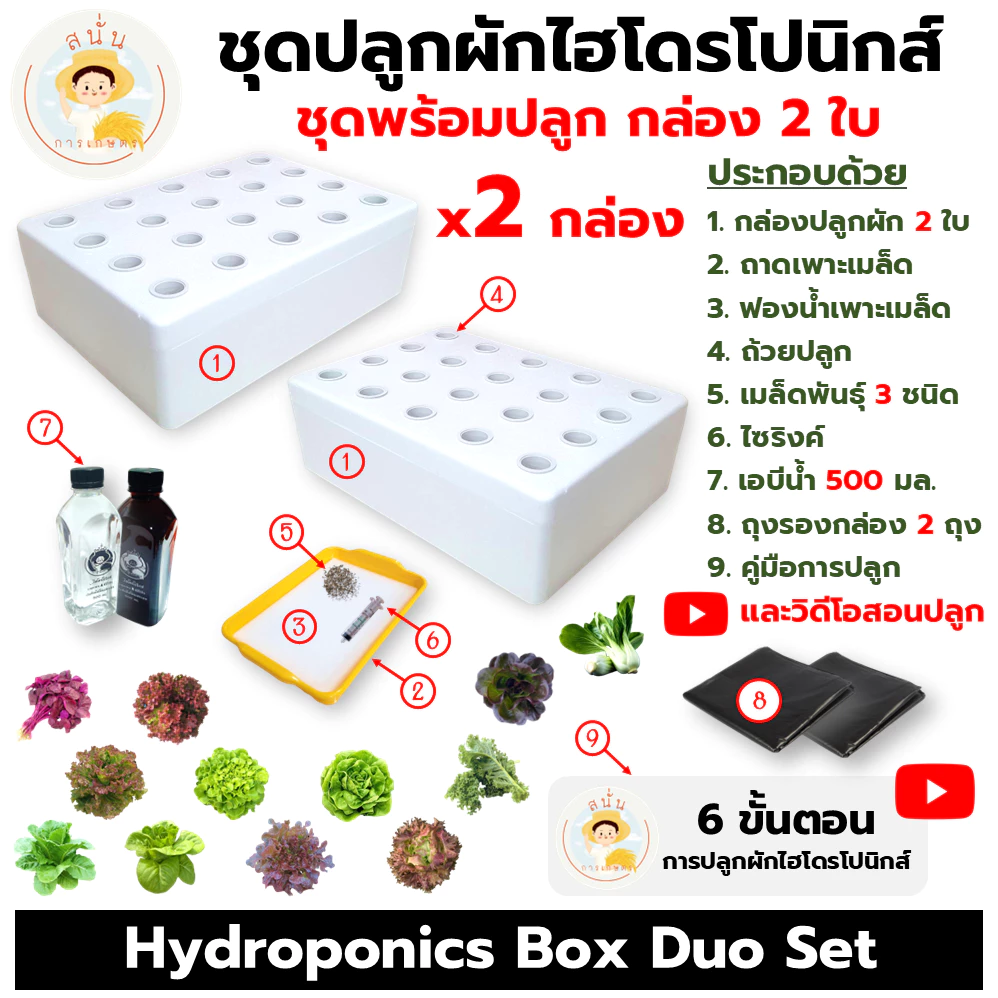 (ชุดพร้อมปลูก กล่อง 2 ใบ) ชุดปลูกผักไฮโดรโปนิกส์ ครบชุด กล่องโฟมปลูกผัก เมล็ด 3 ชนิดและคู่มือการปลูก