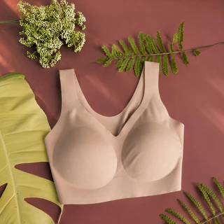 Sabina * แบบสวม * SBXK108 / NBK24006 / NBD24005 เสื้อชั้นใน Invisible Wire (ไม่มีโครง) Seamless Fit