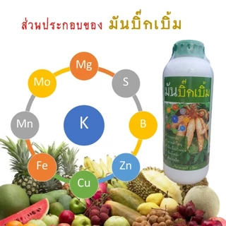 มันบิ๊กเบิ้ม BigBerm, BB1 ปุ๋ยน้ำทาง ระเบิดหัวมัน แตกหัว เร่งราก หัวใหญ่ เพิ่มแป้ง เพิ่มน้ำหนัก เพิ่มผลผลิต ขวด 1 ลิตร