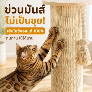 เสาลับเล็บแมวสูง 84ซม. เชือกปอธรรมชาติ ฐานไม้มั่นคง ที่ลับเล็บแมว ของเล่นแมว แข็งแรง ไม่ล้มง่าย ทนข่วน