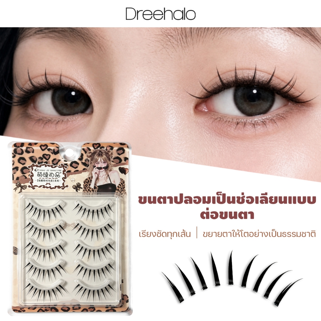 Dreehaloขนตาปลอมเกาหลี แกนใส ลุคต่อขนตา ขนตาช่อ ไอดอล Manga เส้นชัด ธรรมชาติ ตาหวานโตF324