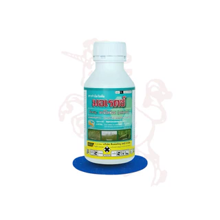 มอเรตซ์ (อะนิโลฟอส) 500ซีซี ป้องกันกำจัดวัชพืชดื้อยา หญ้านกสีชมพู หญ้าแดง หญ้านกสีชมพู หญ้าดอกขาว