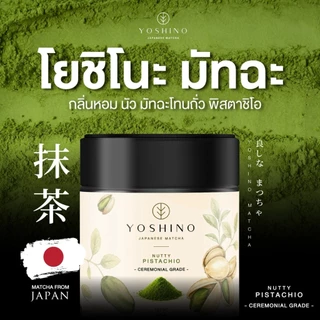 YOSHINO Pistachio โยชิโนะ มัทฉะ มัทฉะโทนถั่ว จากญี่ปุ่น️ มัทฉะ ของแท้ ขนาด 30กรัม