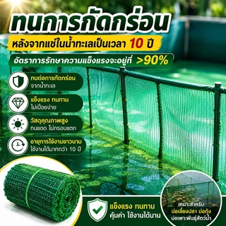 ตาข่ายล้อมไก่ 2x100M ตาข่ายกันนก ตาข่ายพลาสติกเกษตร กันนก กันไก่ ทำรั้วสวน แข็งแรง ทนแดด ตาข่ายล้อมสวน