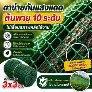 ตาข่ายล้อมไก่ 2x100M ตาข่ายกันนก ตาข่ายพลาสติกเกษตร กันนก กันไก่ ทำรั้วสวน แข็งแรง ทนแดด ตาข่ายล้อมสวน