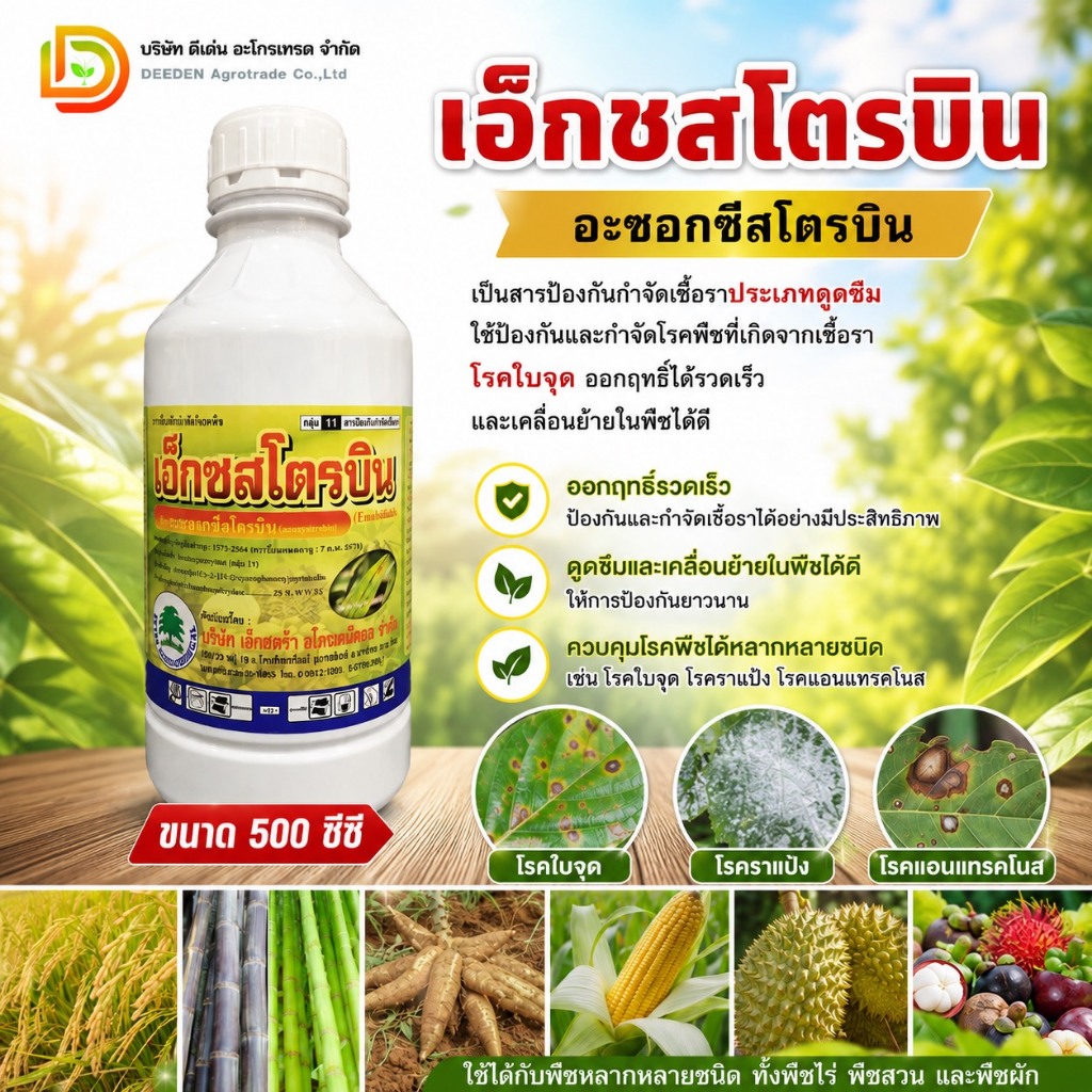 แอทลาส-สโตน คลอโรทานิล+อะซอกซีสโตรบิน 500ซีซี 2พลัง ใบจุด ใบเน่า ราน้ำค้าง ขอบใบแห้ง #ตราลูกโลก