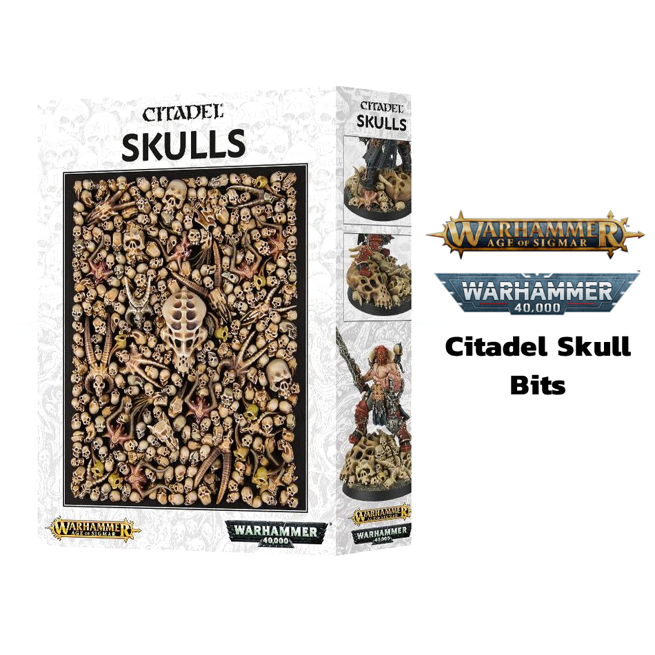 [พร้อมส่ง แยกชิ้น] Citadel Skull Bits ตกแต่ง Base Warhammer 40K/Age of Sigmar