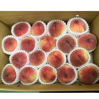 🍑 Premium Fukushima Peach - ลูกพีชญี่ปุ่นแท้ นำเข้าจากเมืองฟุกุชิมะ
