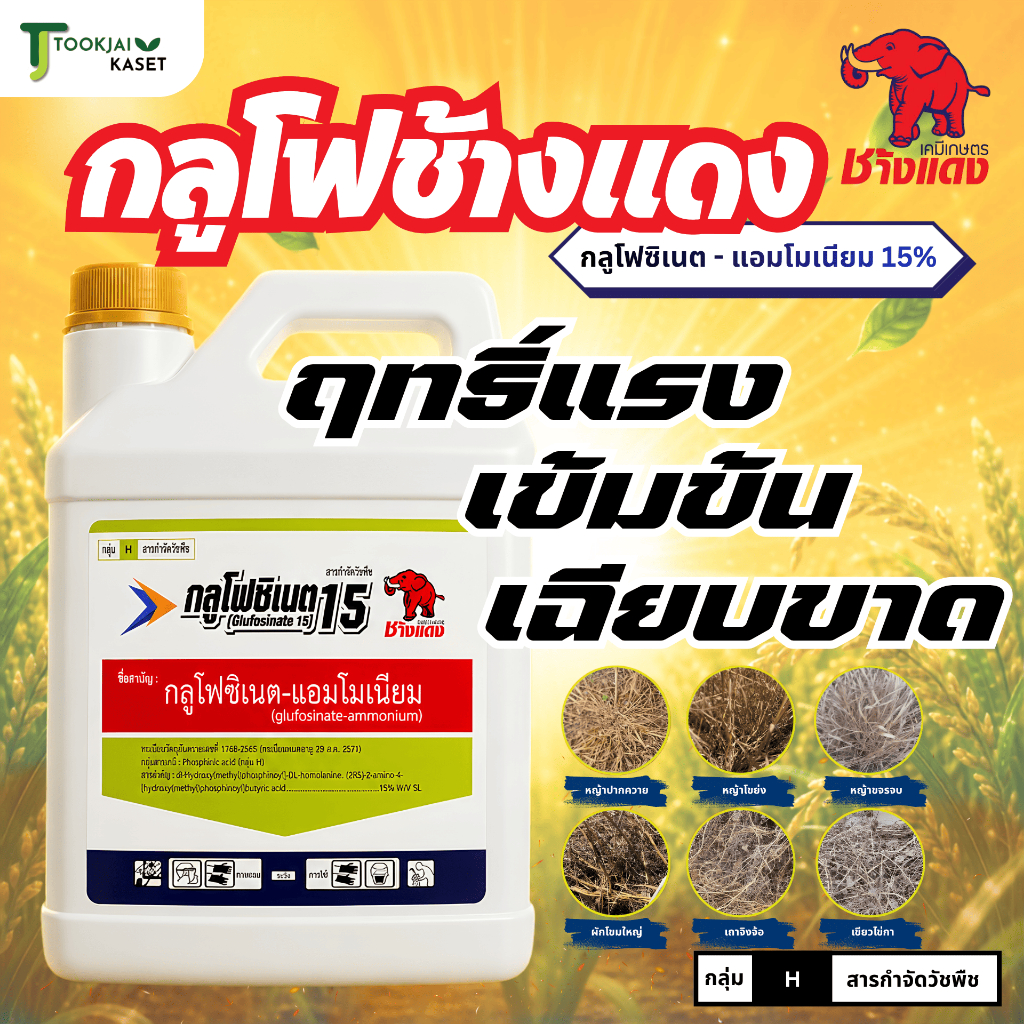 กลูโฟซิเนต แอมโมเนียม ตราช้างแดง สารกำจัดหญ้าใบแคบและใบกว้าง แบบเผาไหม้