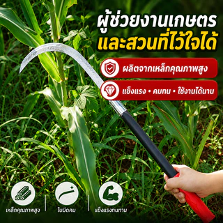💥ของแท้💥เคียวเหล็กแมงกานีส ของแท้ เคียวแมงกานีส เคียวเกี่ยวหญ้า เคียวเกี่ยวข้าว มีดดายหญ้า มีดขอ มีดตัดกล้วย พร้อมส่ง
